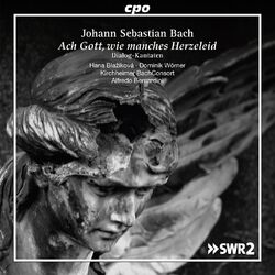 Cover of J.S. Bach: Dialog-Kantaten