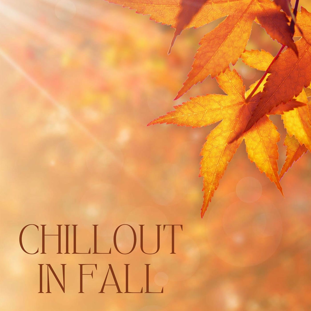 Album cover of Chillout in Fall