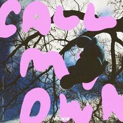 Cover of Call My Own