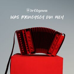 Cover of Was bruichsch dui meh