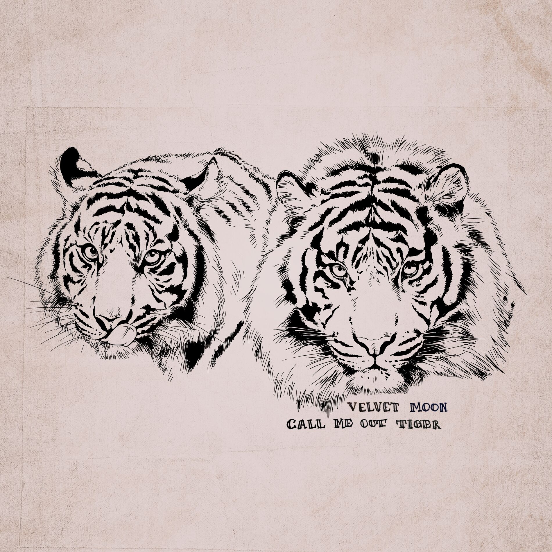 Album cover of Call Me out Tiger