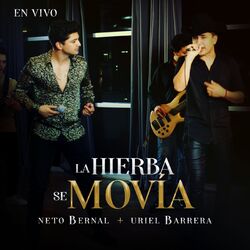 Cover of La Hierba Se Movía (En Vivo)