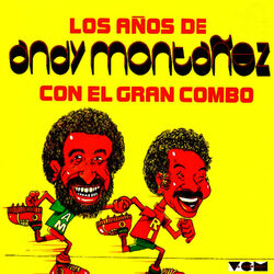 Cover of Los Anos de Andy Montanez