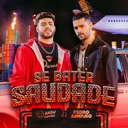 Cover of Se Bater Saudade