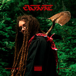 Cover of Excavate