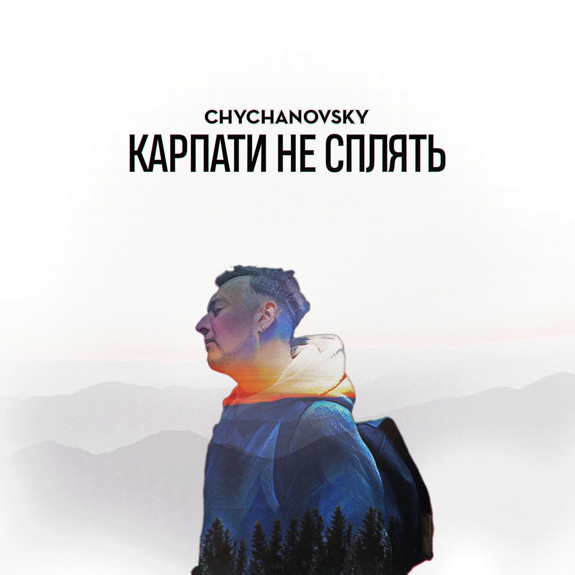 Album cover of Карпати не сплять