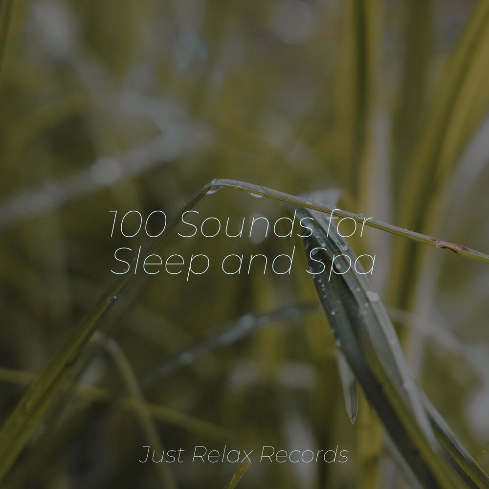 Picture of 100 Sounds for Sleep and Spa