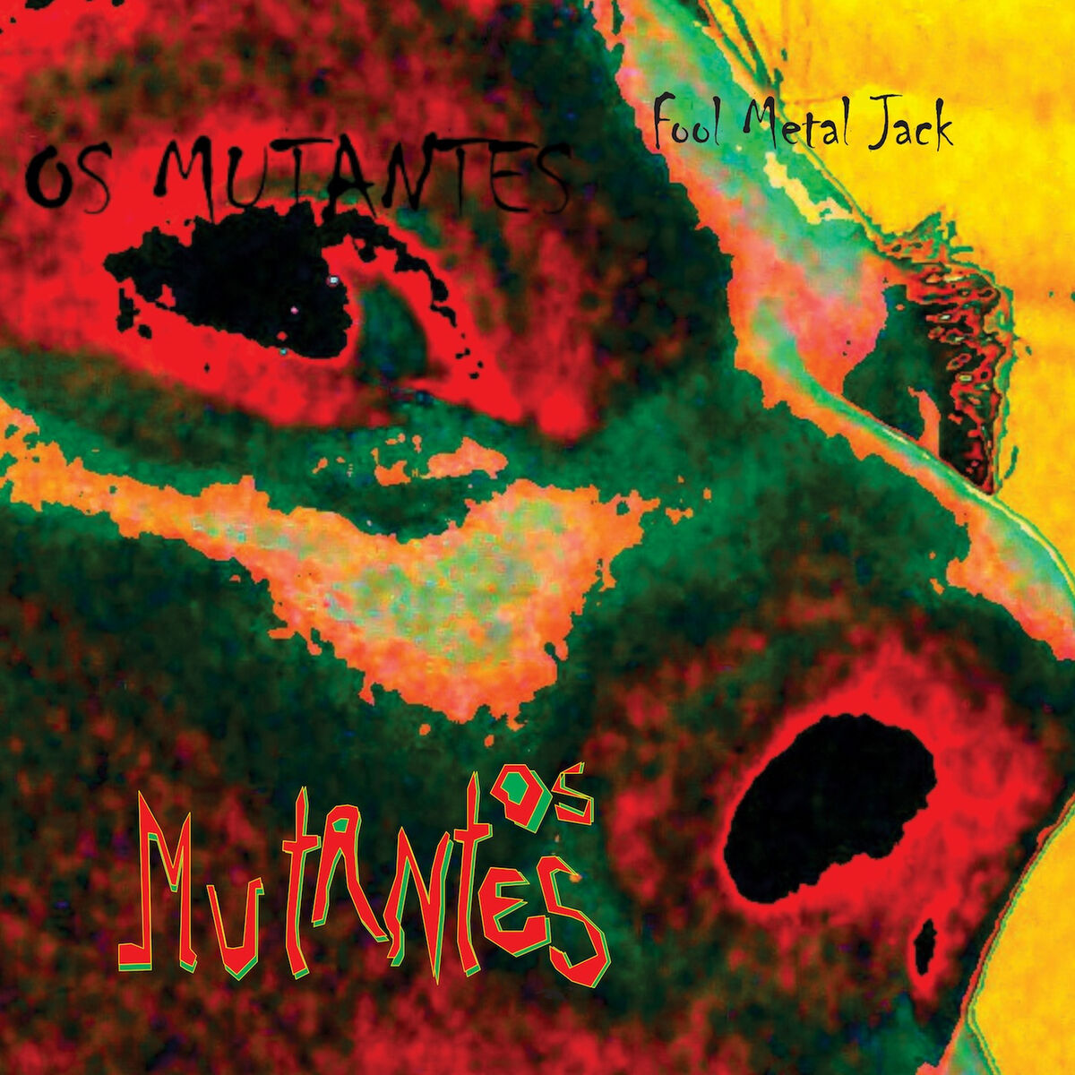 Album cover of Fool Metal Jack