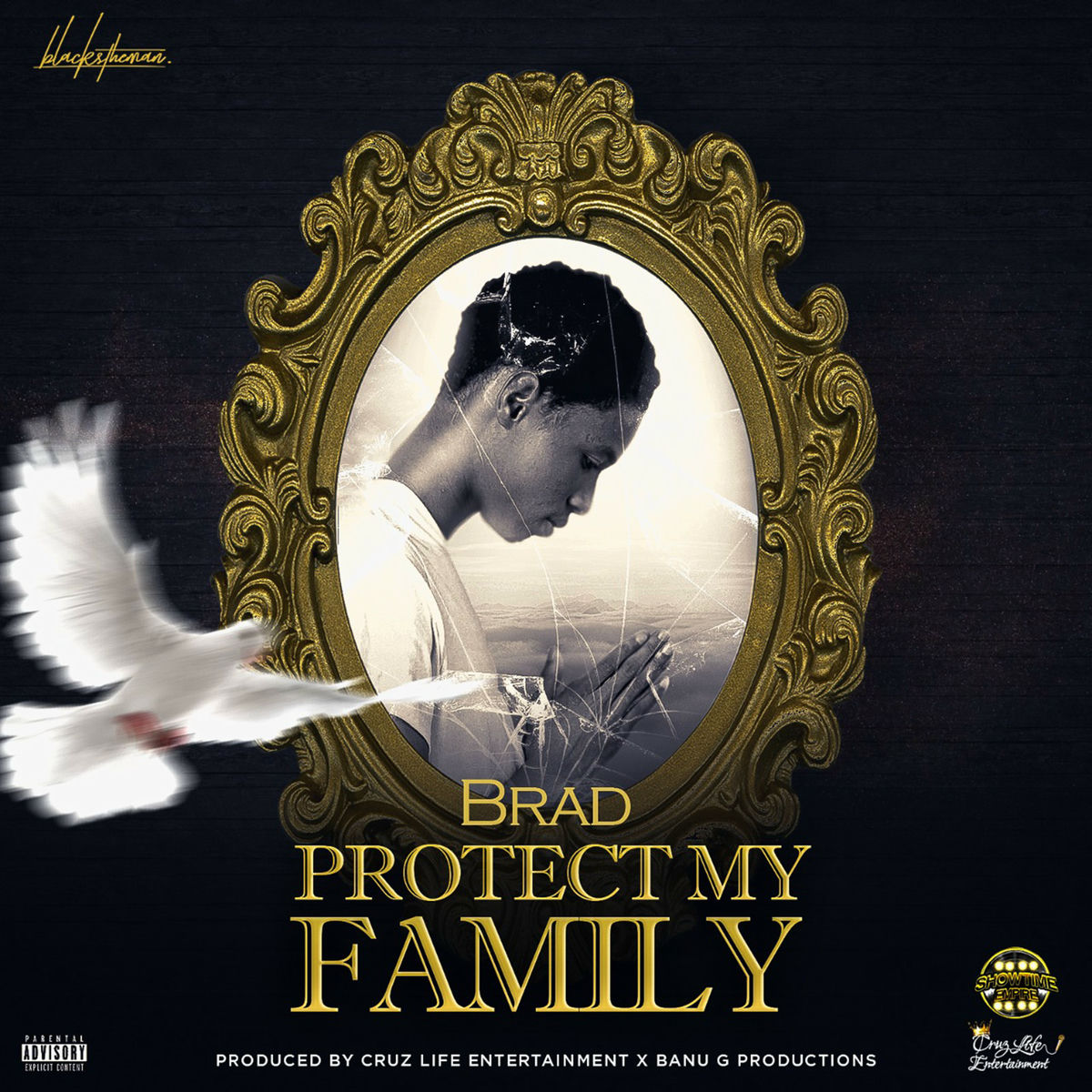 Album cover of Protect My Family
