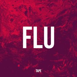 Cover of Flu