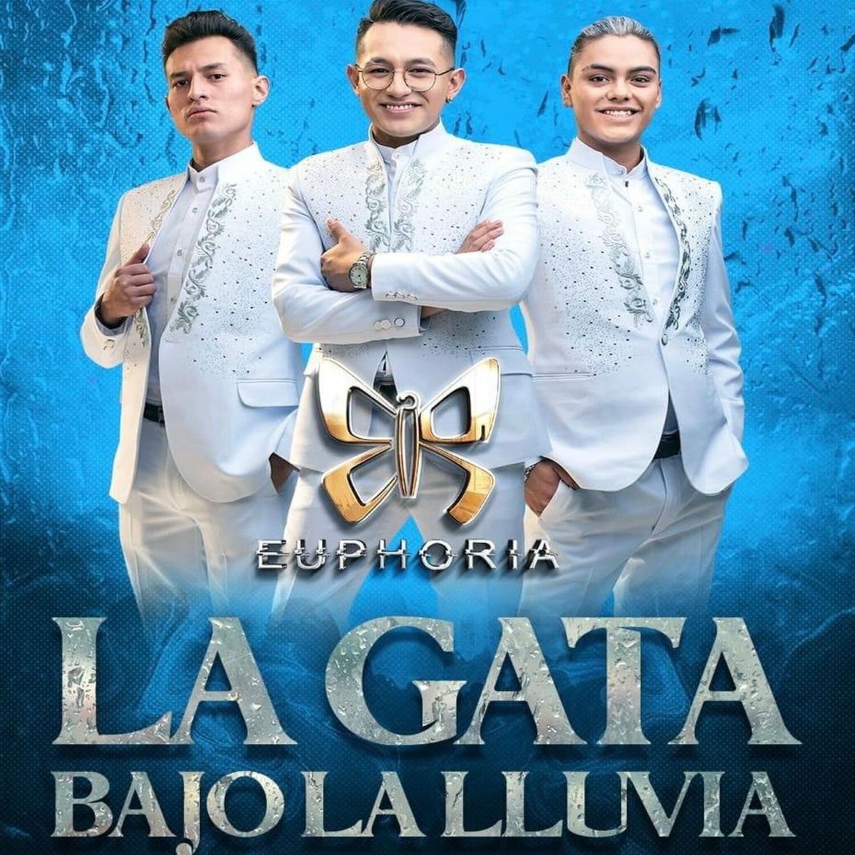 Album cover of La gata bajo la lluvia