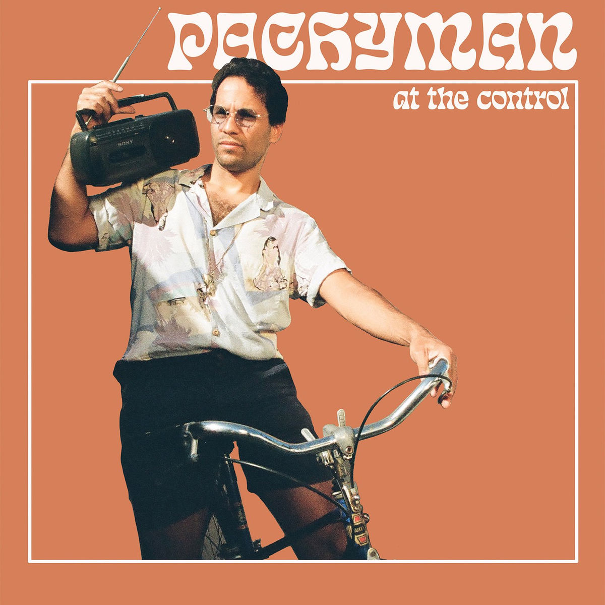 Album cover of Friday