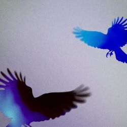 Cover of Places (Marten Lou Remix)