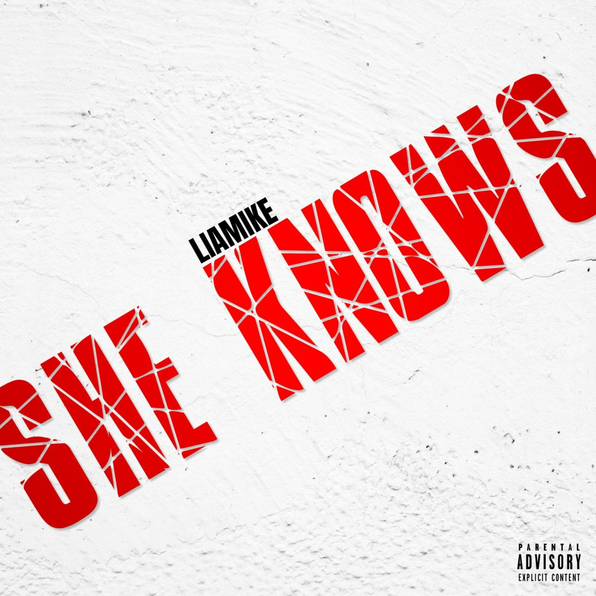 Album cover of SHE KNOWS