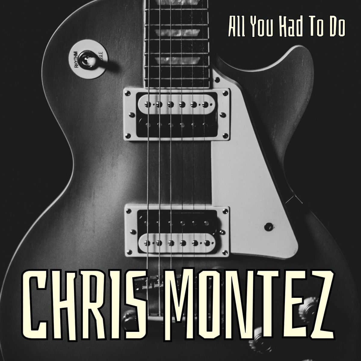 Album cover of All You Had To Do