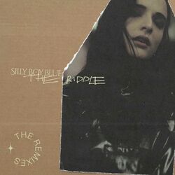 Cover of The Riddle