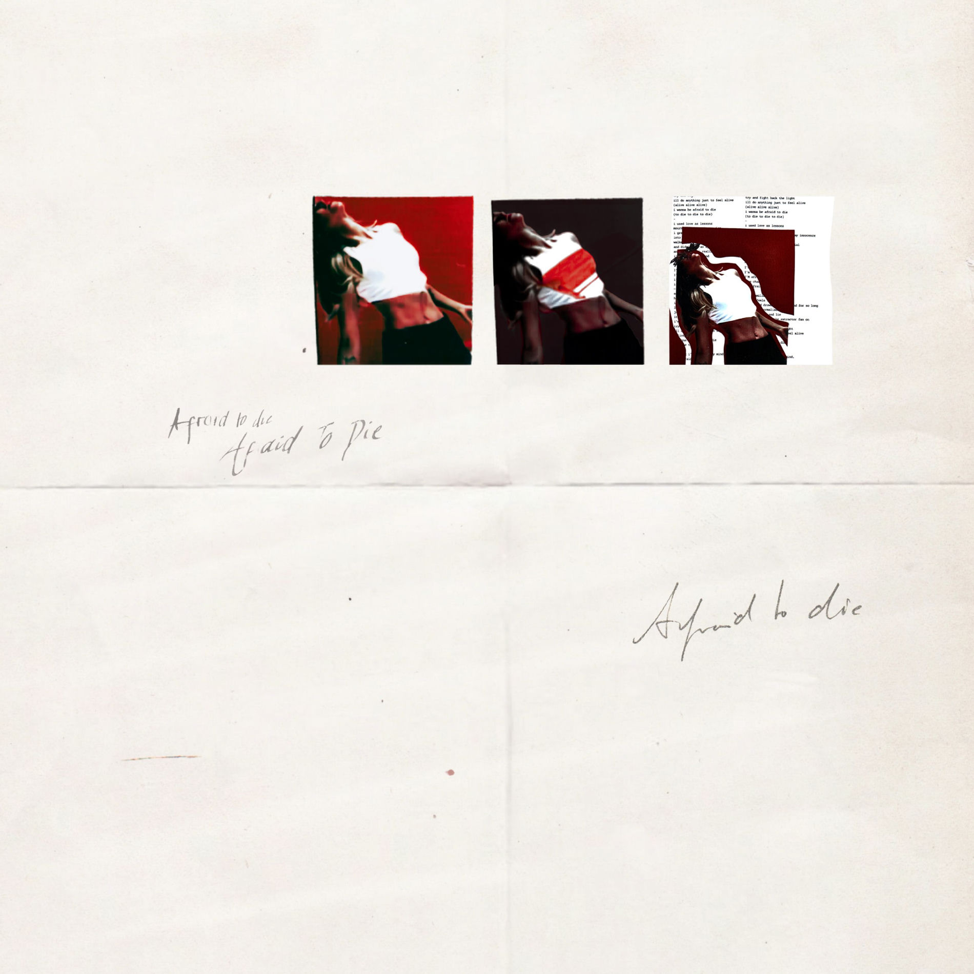 Album cover of AFRAID TO DIE