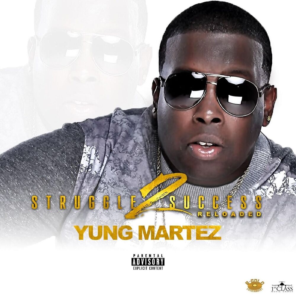 Picture of Struggle 2 Success Reloaded