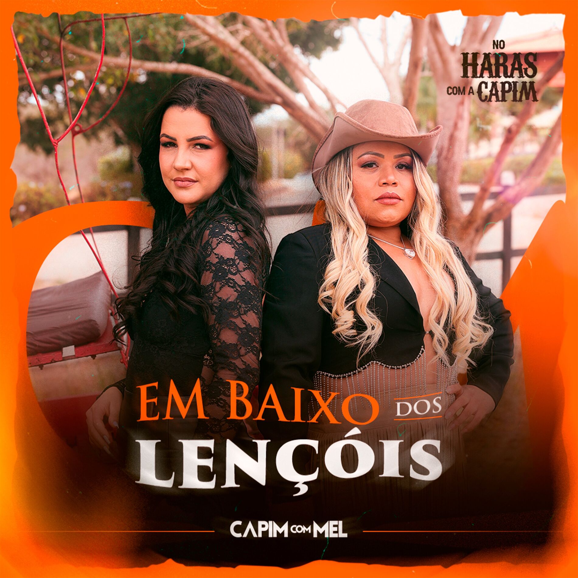 Album cover of Em Baixo dos Lençóis