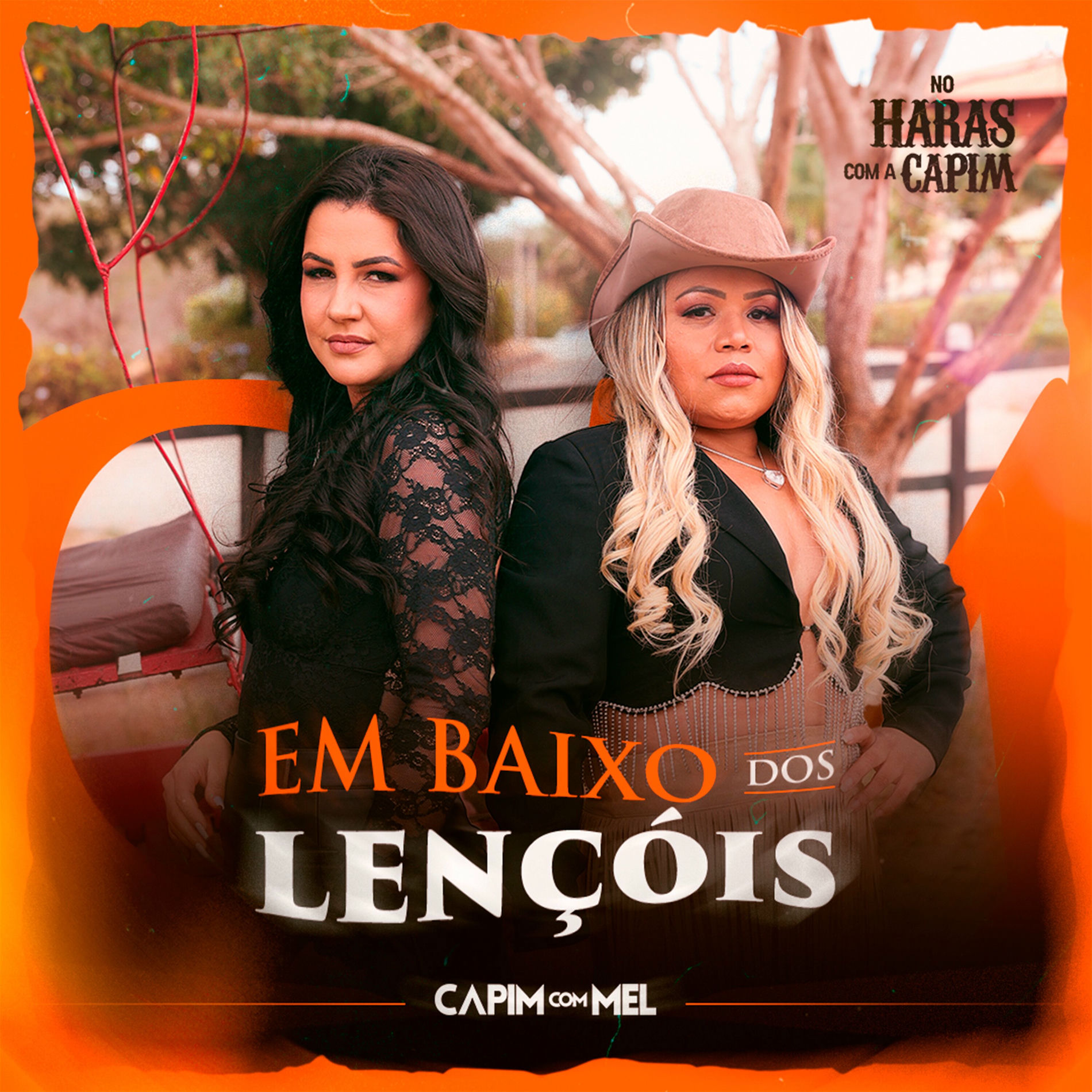 Album cover of Em Baixo dos Lençóis