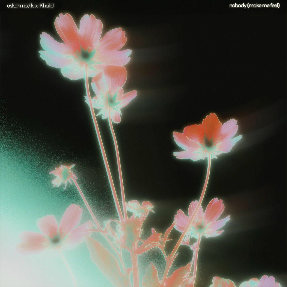 Album cover of nobody (make me feel)