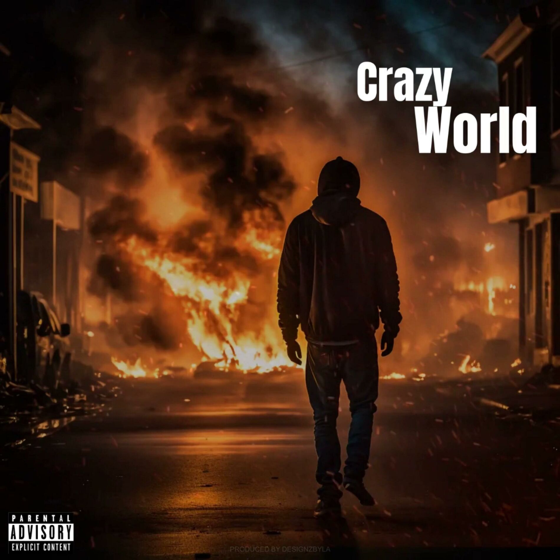Album cover of Crazy World