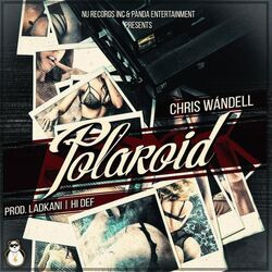 Cover of Polaroid