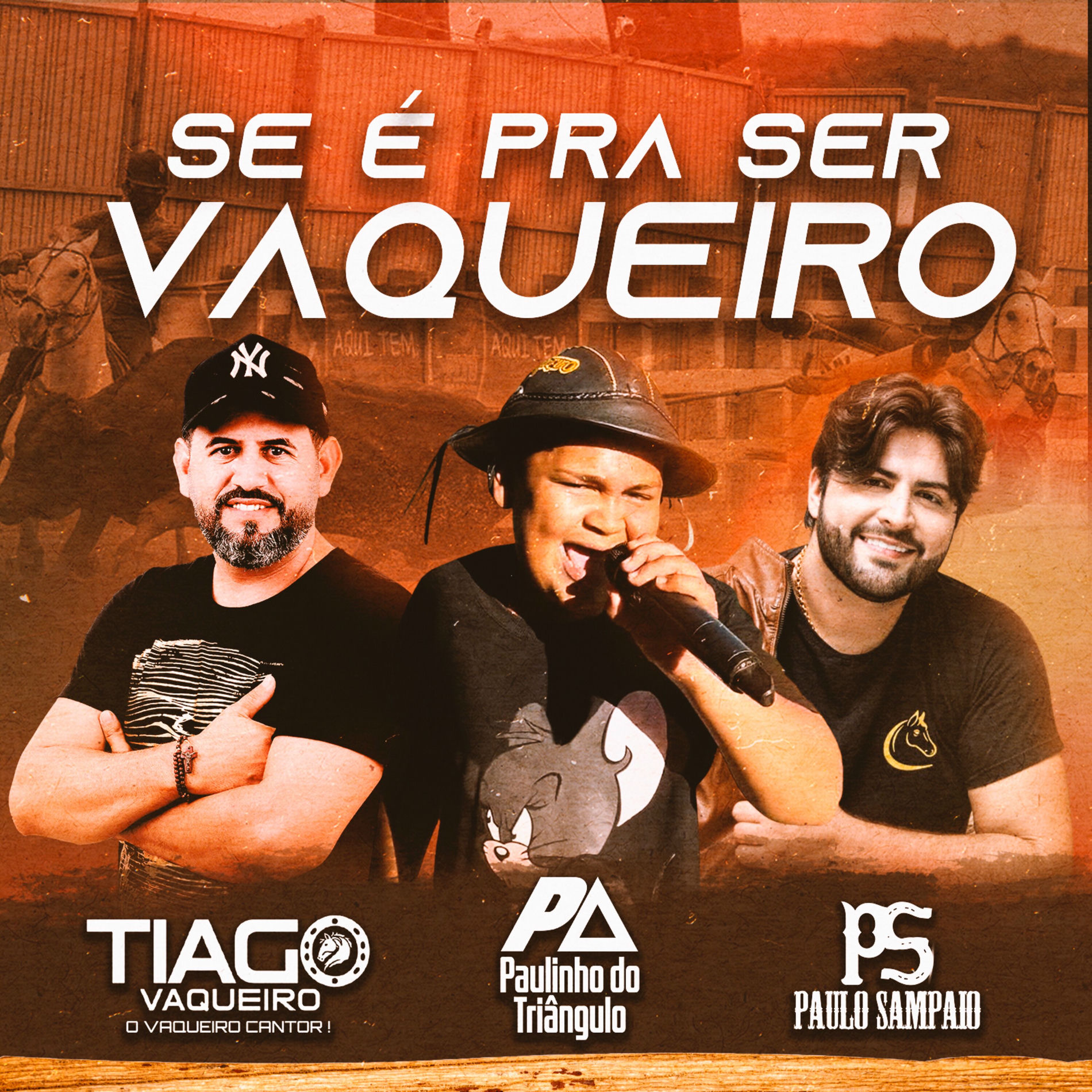 Album cover of Se é pra Ser Vaqueiro