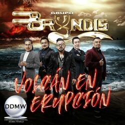 Cover of Volcán en Erupción