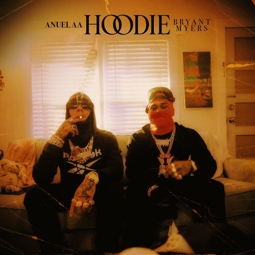 Picture of Hoodie