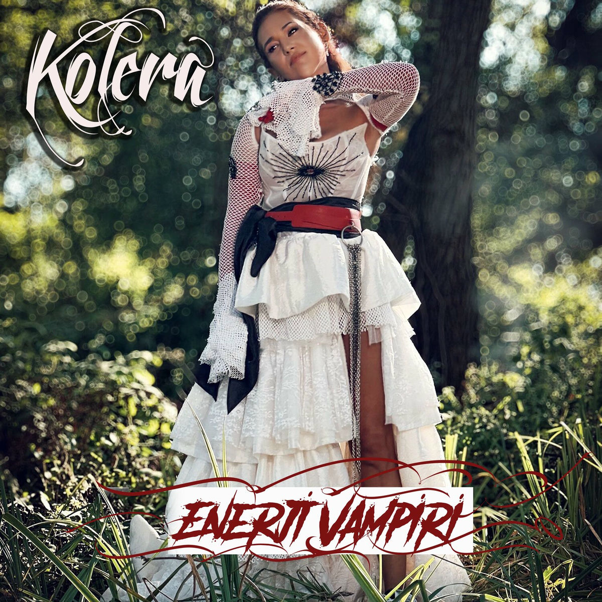 Album cover of Enerji Vampiri