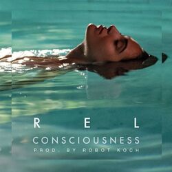 Cover of Consciousness