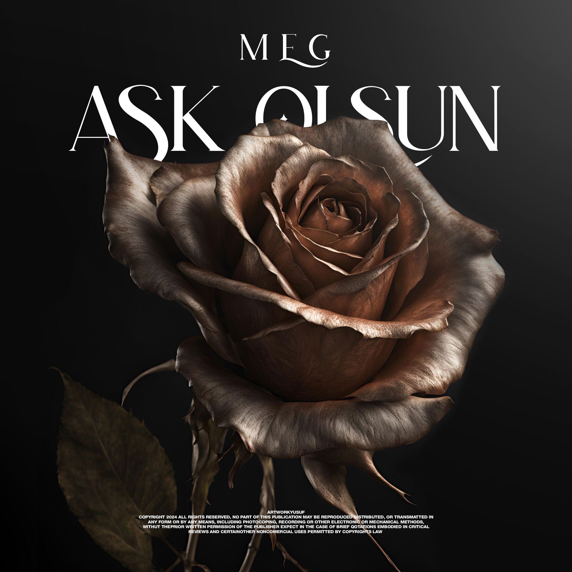 Album cover of Aşk Olsun