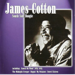 Cover of South Side Boogie