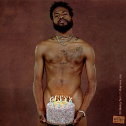 Cover of Birthday Suit