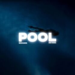 Cover of Pool (Gravagerz Version)
