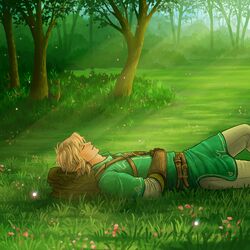Cover of Zelda & Sleep: Ensemble Collection