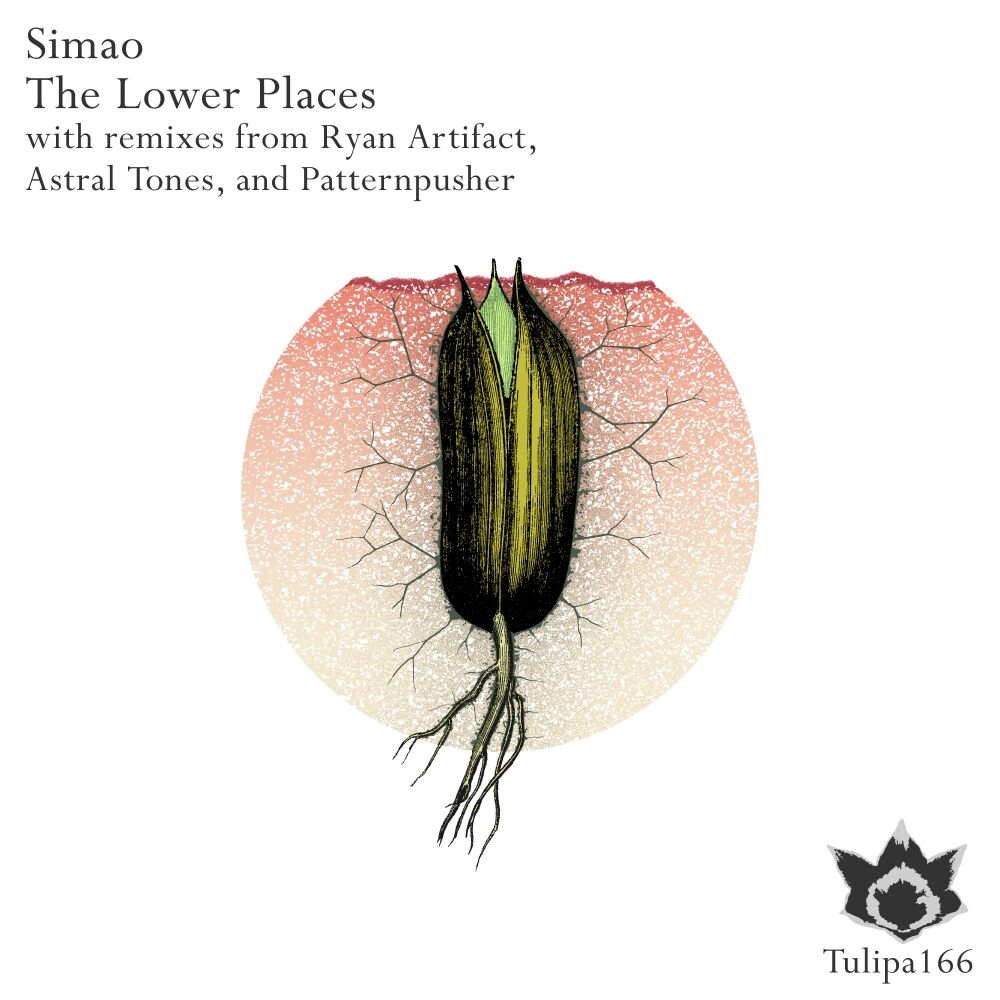 Picture of The Lower Places