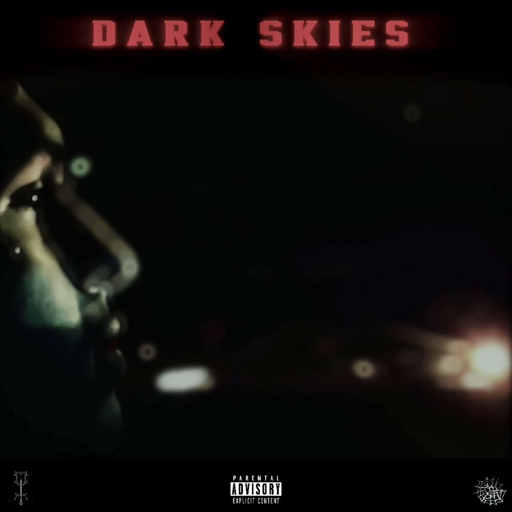Picture of Dark Skies