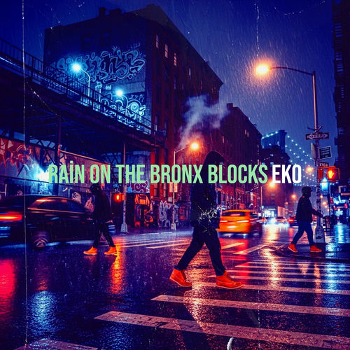 Rain on the Bronx Blocks