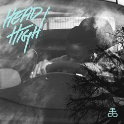 Cover of Head High