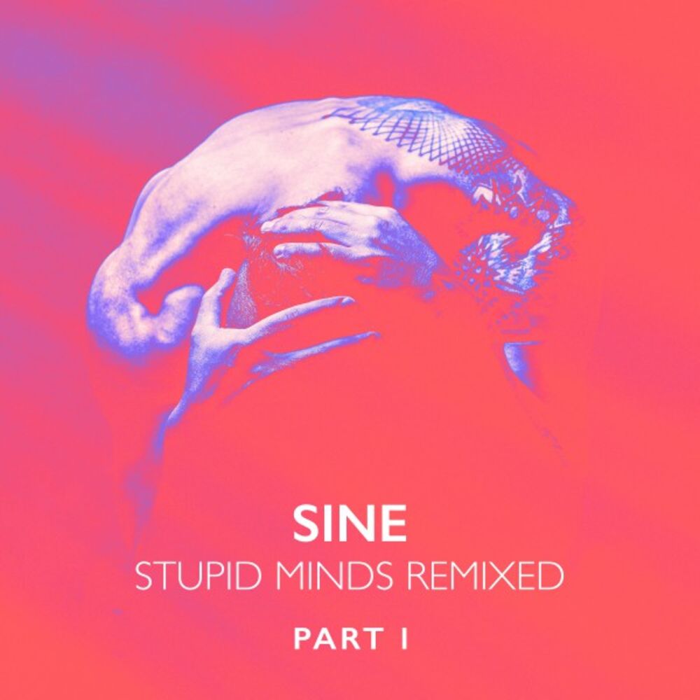 Picture of Stupid Minds Remixed, Pt. 1