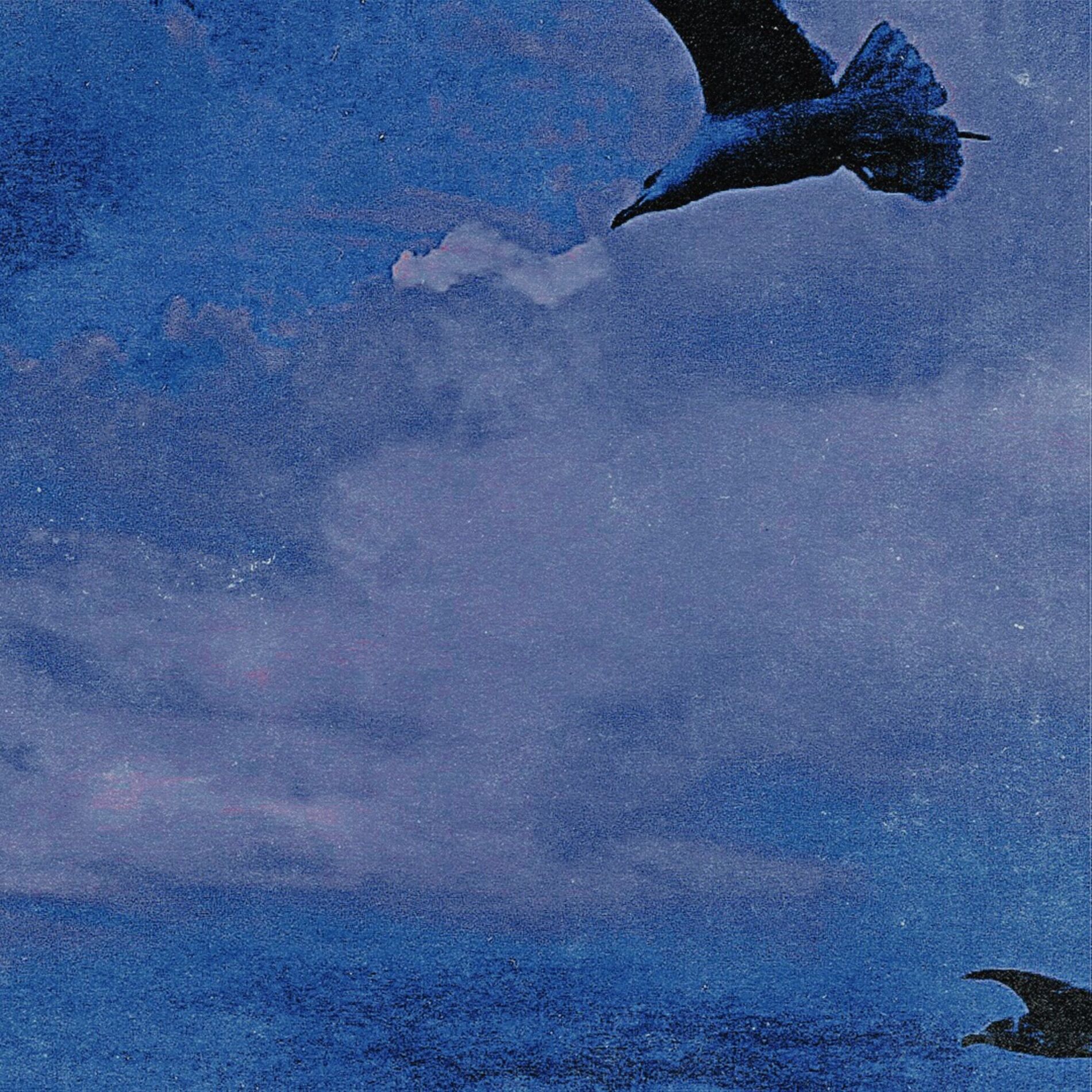 Album cover of Flight
