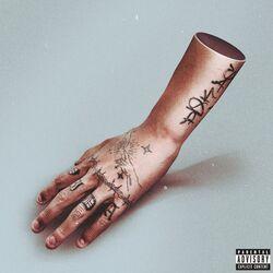 Cover of Vida