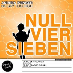 Cover of No Sky Too High
