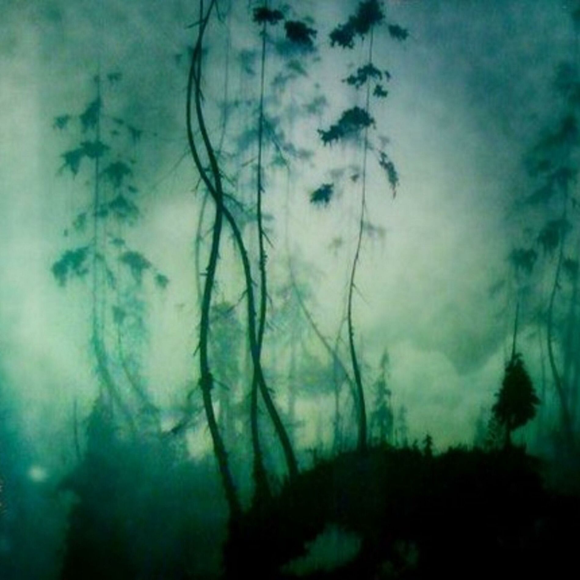 Album cover of Withered Away
