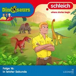 Cover of Folge 16: In letzter Sekunde