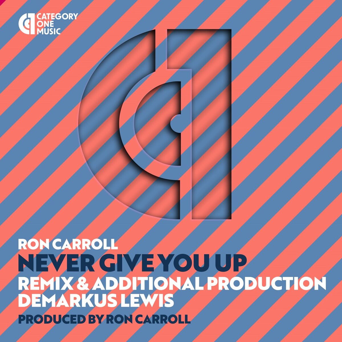 Album cover of Never Give You Up