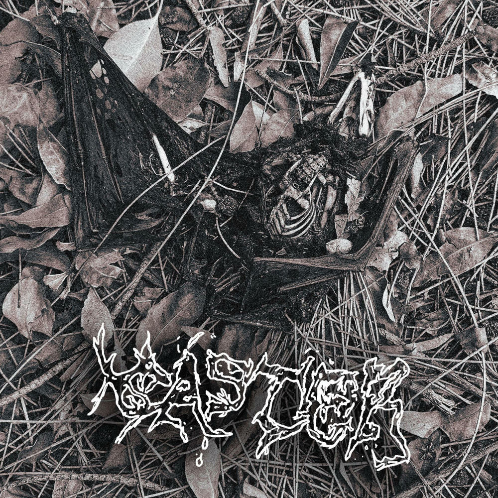 To See Is to Rot artwork
