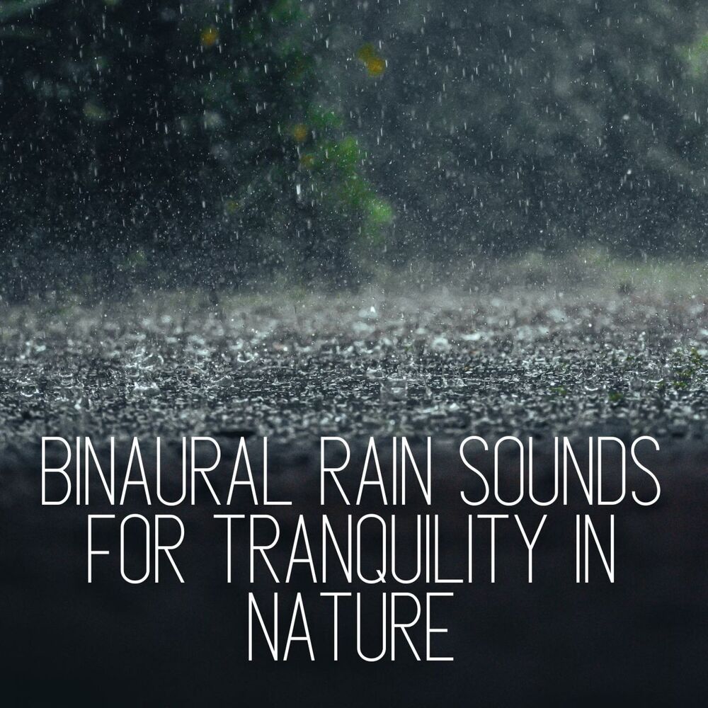 Picture of Binaural Rain Sounds for Tranquility in Nature